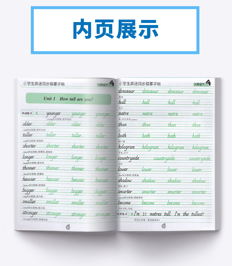 2020新版 笔墨先锋小学生英语同步描摹字帖六年级下册人教版 小学6年级初学者手写英文斜体字练字本 钢笔硬笔临摹正楷书法入门基础