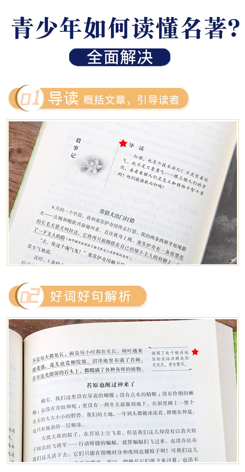 森林报 夏 正版书包邮 青少年语文新课标班主任老师推荐8-12岁三四年级五年级适合小学生少儿阅读故事绘本 儿童文学系列畅销课外书