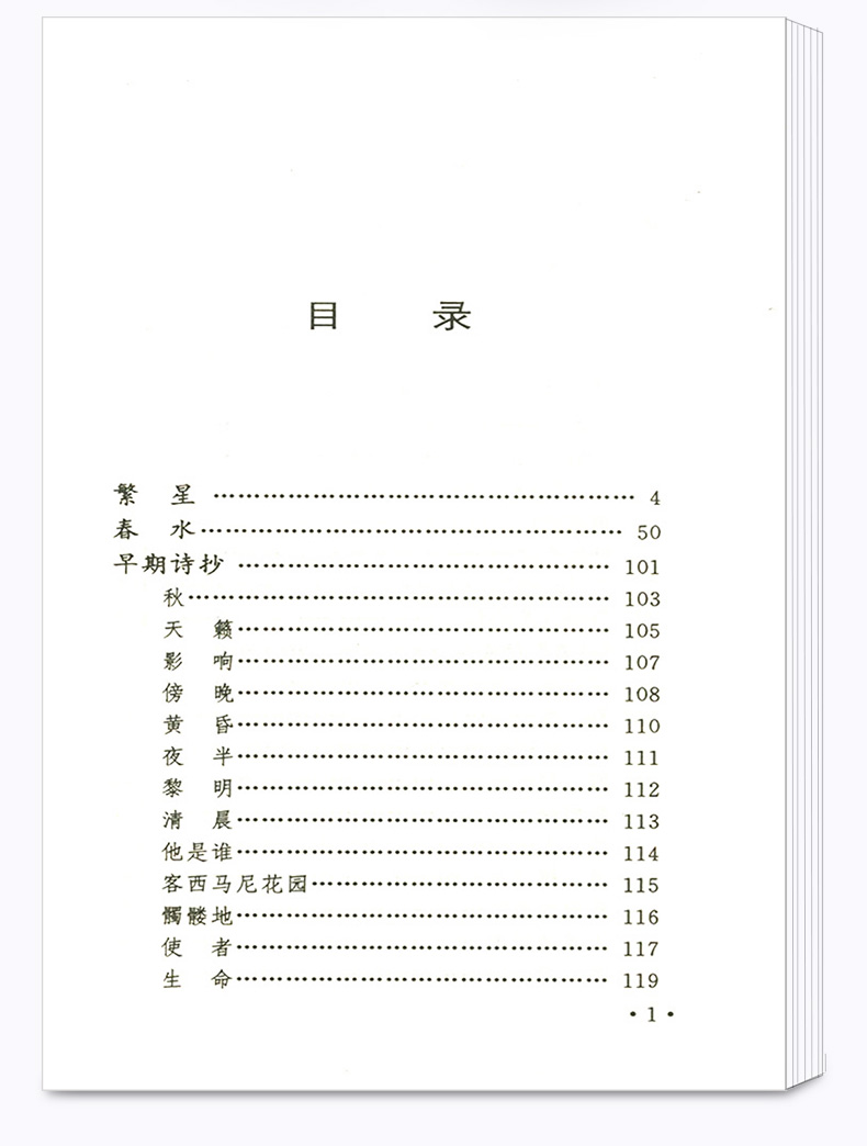 正版包邮 冰心诗选 繁星春水 名家名译权威定本原著书籍 中小学生课外阅读读名著导读 初中新语文必读丛书