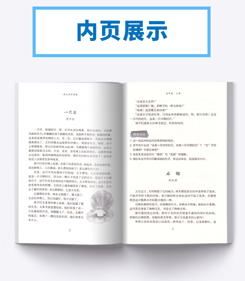 2020新版 小学语文同步阅读夹一张绿叶在你爱读的书里五年级上册人教版部编版 小学生5年级上教材同步阅读理解训练课外阅读本