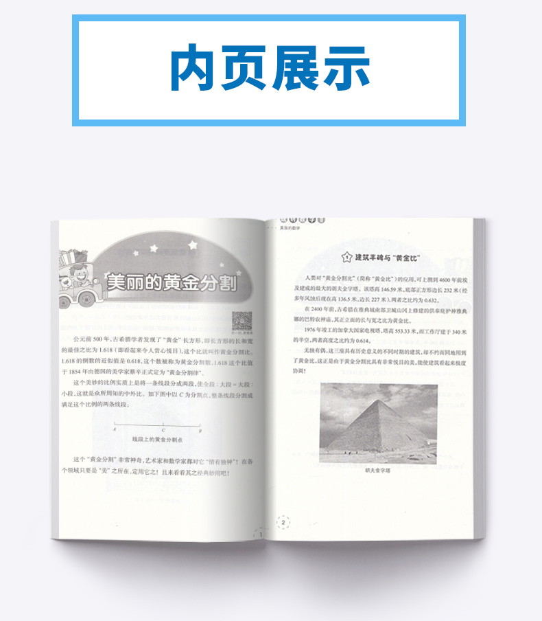 玩转数学II 美丽的数学 宁波出版社 修订版 提高中小学生初中生兴趣练习训练智力脑力动手能力奥数教辅辅导大全/正版