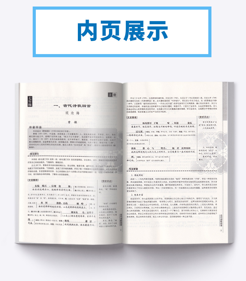 2020新版 初中文言文译注及赏析 吴铜运主编 与人教部编版2020年新教材配套  初中生必备古诗文资料古诗辅导教辅工具书/正版