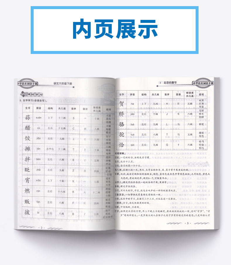 2020新版 教学练小学语文词语手册六年级语文下册人教版部编版小学生6年级下练习册同步训练课时作业本看拼音写默写能手开明出版社