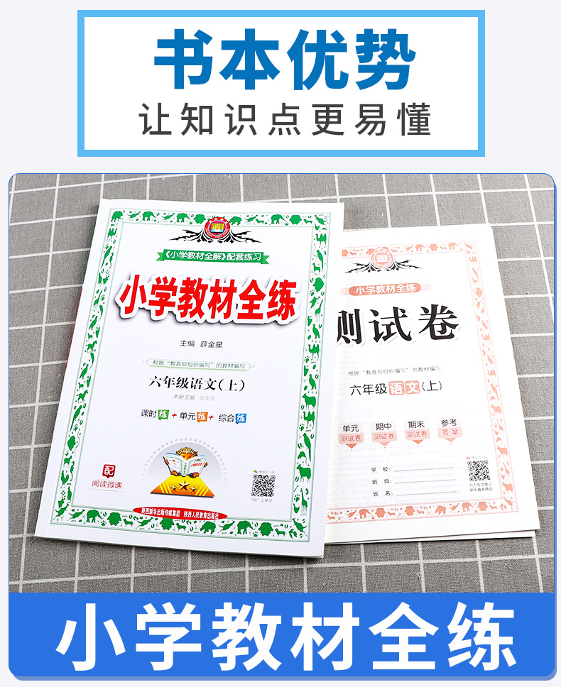 2020新版 薛金星小学教材全练六年级语文上册人教版小学生6年级上课本同步专项训练讲解学习辅导复习资料练习册一日一练