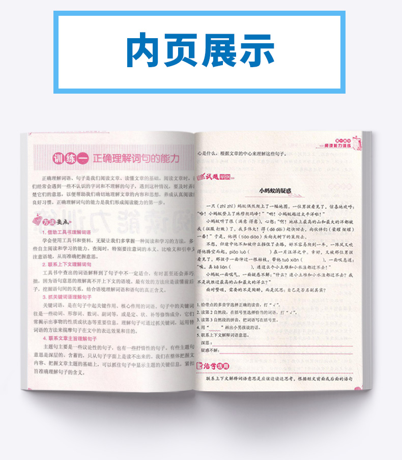2019新版 方洲新概念小学生语文阅读与作文能力训练五年级上下册通用版 小学5年级课外阅读辅导提升写作能力 徐林主编c