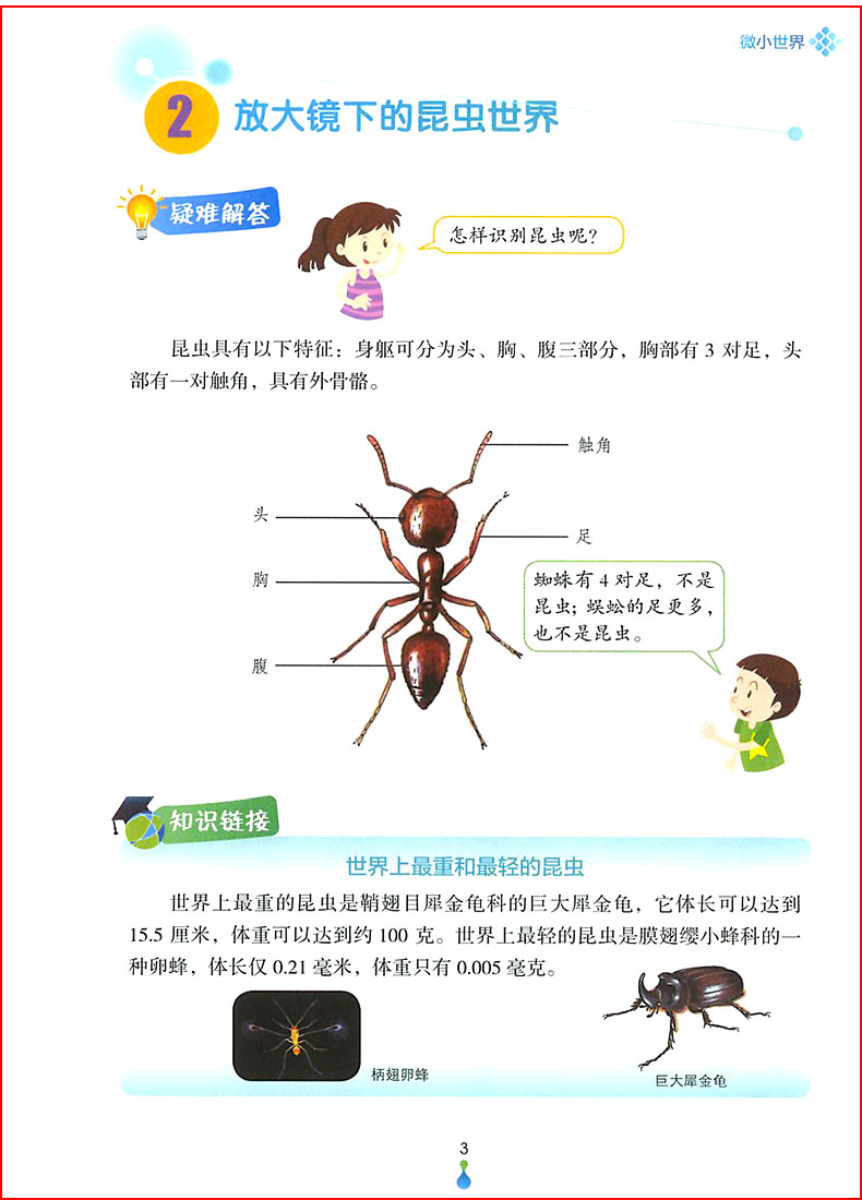 现货悦读书系科学拓展阅读六年级上册下册全套2册教科版