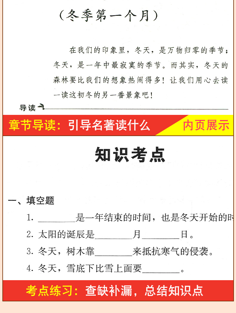 森林报春夏秋冬全套四册 正版包邮全套故事书 课外书四年级五年级三 系列儿童四五 小学生阅读书籍3-4-6 维.比安基必名著读全集六