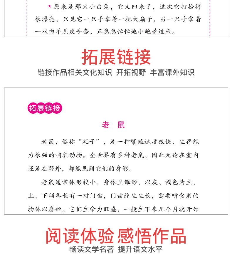 名师伴读系列】正版包邮爱丽丝漫游奇境初中生青少年版课外书阅读爱丽丝漫游仙境书寓言故事中小学生课外阅读爱丽丝漫游记五六年级