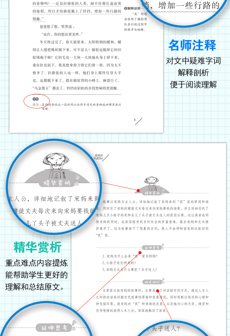 城南旧事 无障碍精读版 青少年语文丛书中外名著