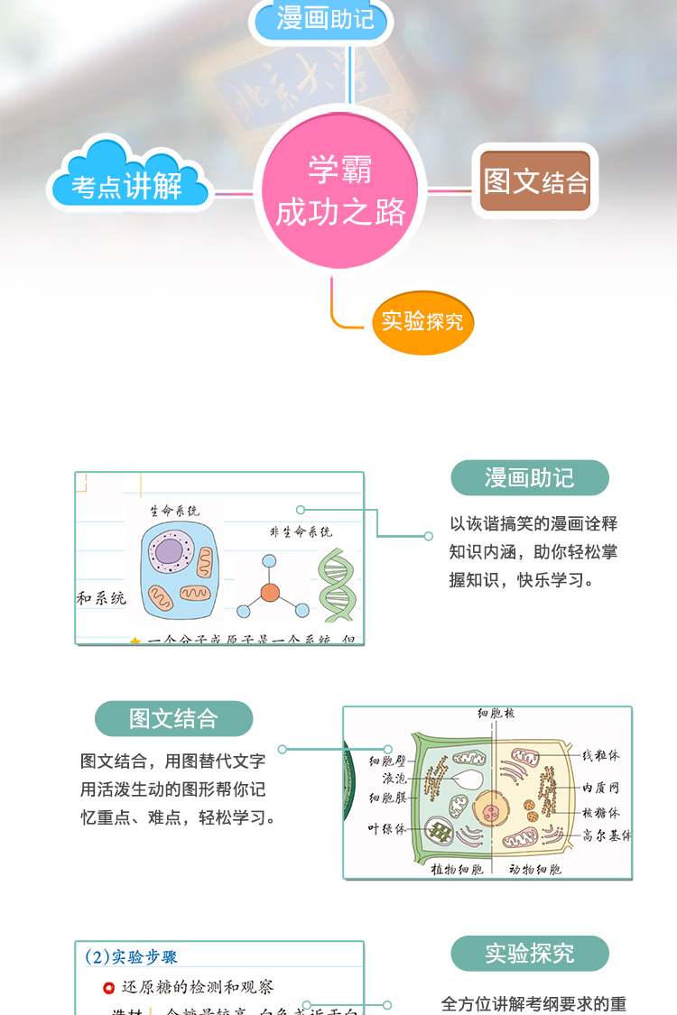 2020版PASS绿卡图书学霸笔记初中地理湘教版XJ中学教辅初一初二初三同步漫画图解七八九年级中考总复习资料辅导书课堂江苏版苏教版
