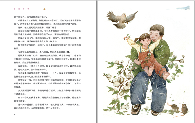星星的桥 全国儿童文学奖获奖作家书系 儿童文学青春小说 8-10-2岁小学生三四五六年级课外推荐阅读图书籍
