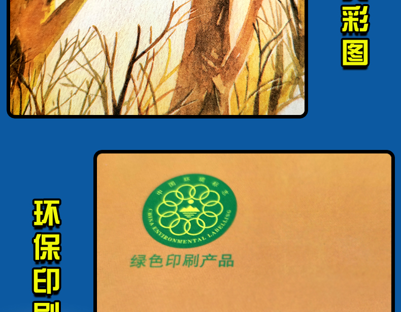 恐龙的宝藏正版书 漂流屋王一梅儿童文学精品系列三四五六年级小学生课外读物9-12-15岁青少年中篇童话故事畅销书籍