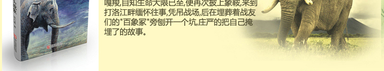 沈石溪动物小说精选系列全套4册 第七条猎狗 狼王梦 一头战象 斑羚飞渡 6-7-9-10-12岁儿童文学课外读物 少儿童书畅销小说正版