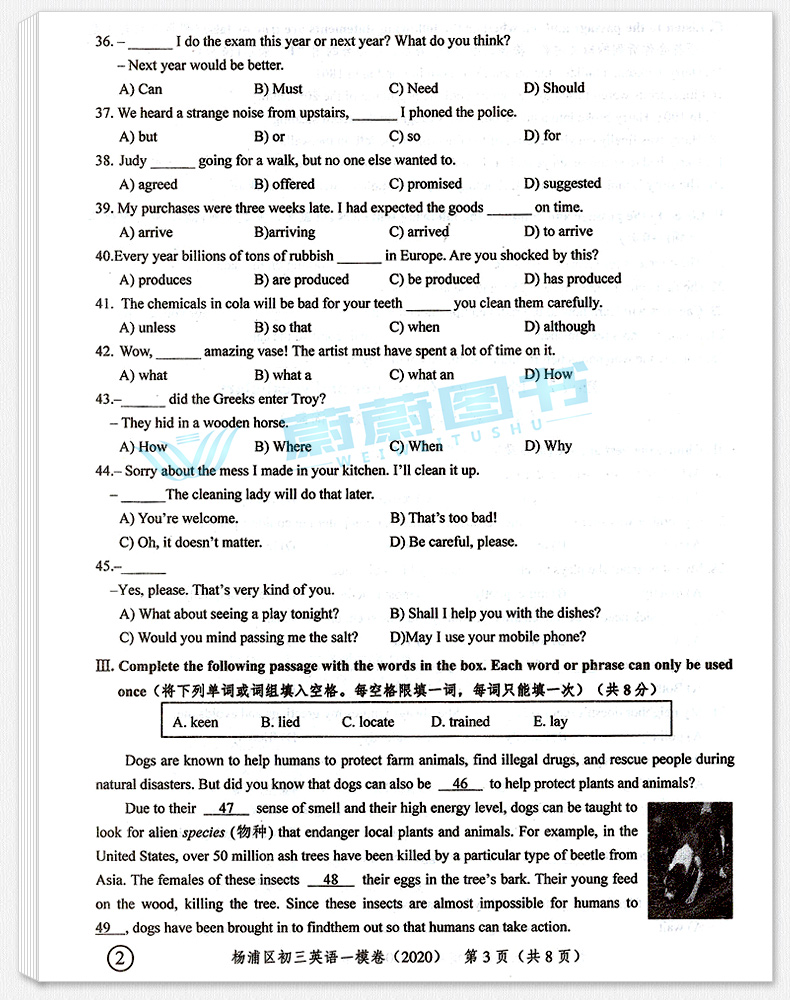 2020年版 领先一步英语 上海中考一模卷英语 试卷+答案 文化课强化训练英语一模卷 上海市各区初三第一学期期末质量抽查试卷精编