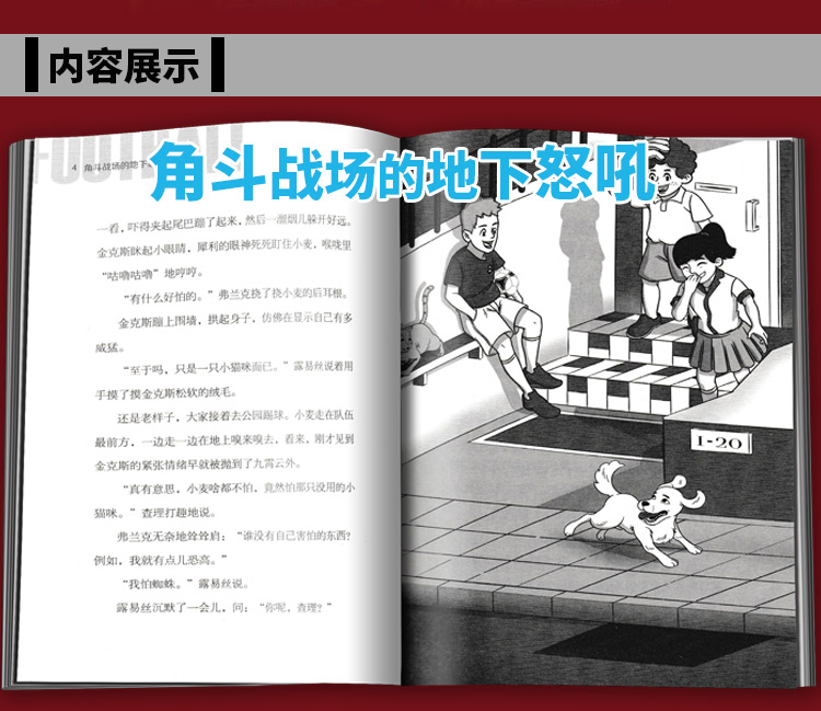 球衣8号兰帕德少年足球小说系列第一辑(全5册) 传奇冒险儿童文学小说 7-8-9-12-14岁小学生课外阅读书籍 足球小子必读经典故事书