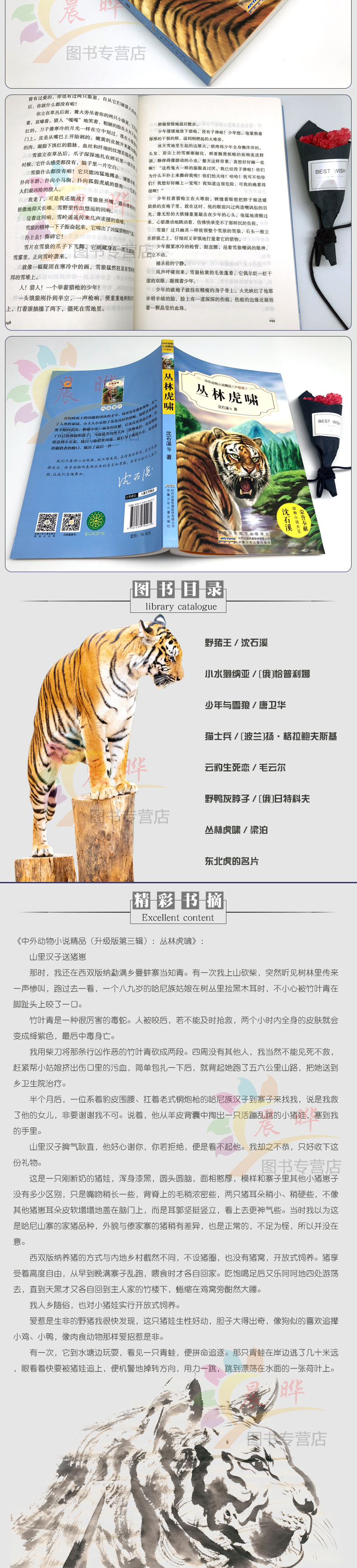 丛林虎啸沈石溪正版书籍中外动物小说精品升级版青少版三四五六年级中小学生课外阅读9-12-15岁儿童文学读物畅销故事书