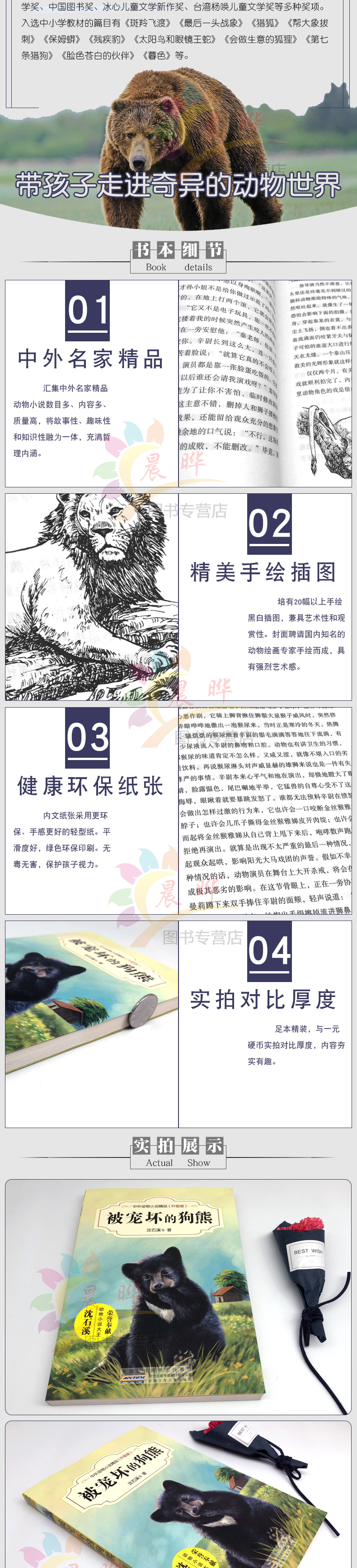 被宠坏的狗熊中外动物小说精品升级版沈石溪经典动物小说系列7-10-14岁中小学生三四五六年级课外阅读书籍
