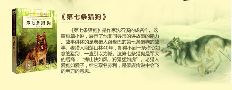 沈石溪动物小说精选系列全套4册 第七条猎狗 狼王梦 一头战象 斑羚飞渡 6-7-9-10-12岁儿童文学课外读物 少儿童书畅销小说正版