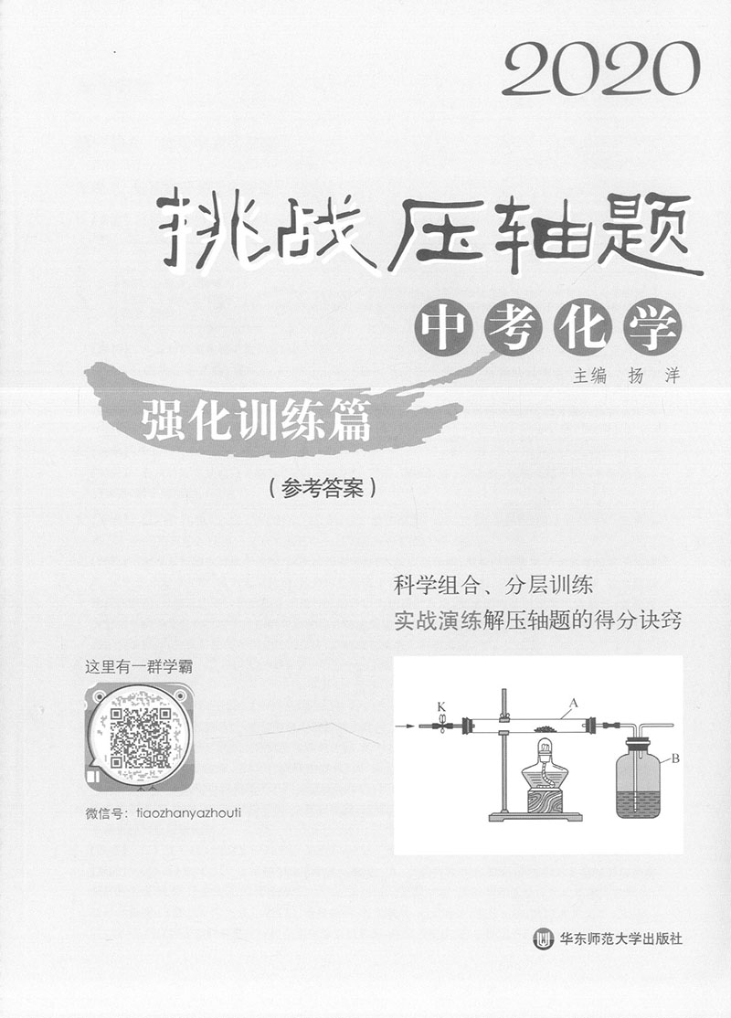 2020挑战压轴题 中考化学 强化训练篇 华东师范大学出版社 初一初二初三学生适用 初中压轴题辅导用书冲刺满分压轴题