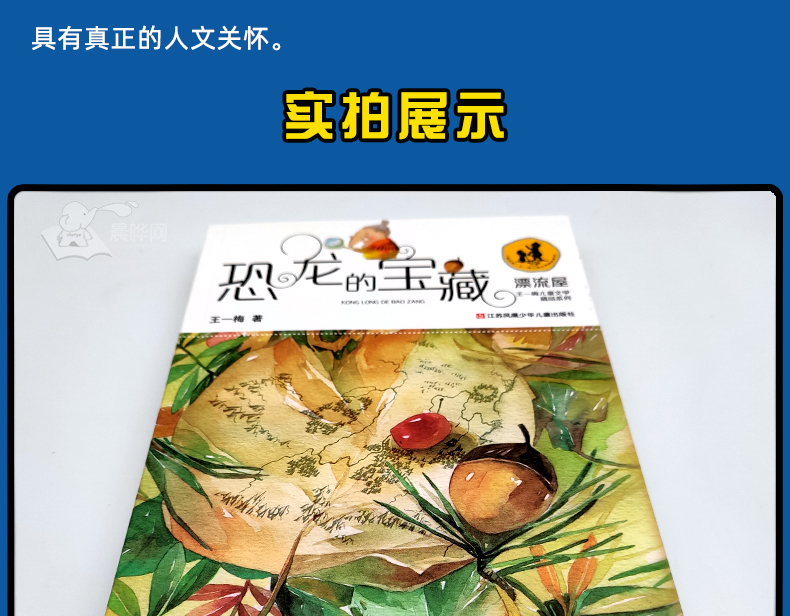恐龙的宝藏正版书 漂流屋王一梅儿童文学精品系列三四五六年级小学生课外读物9-12-15岁青少年中篇童话故事畅销书籍
