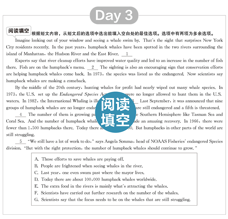 正版现货 高中英语阅读理解与完形填空 拓展阅读周周练高二 3大课标主题语境 4大高考题型 3大助学环节 华东理工大学出版社