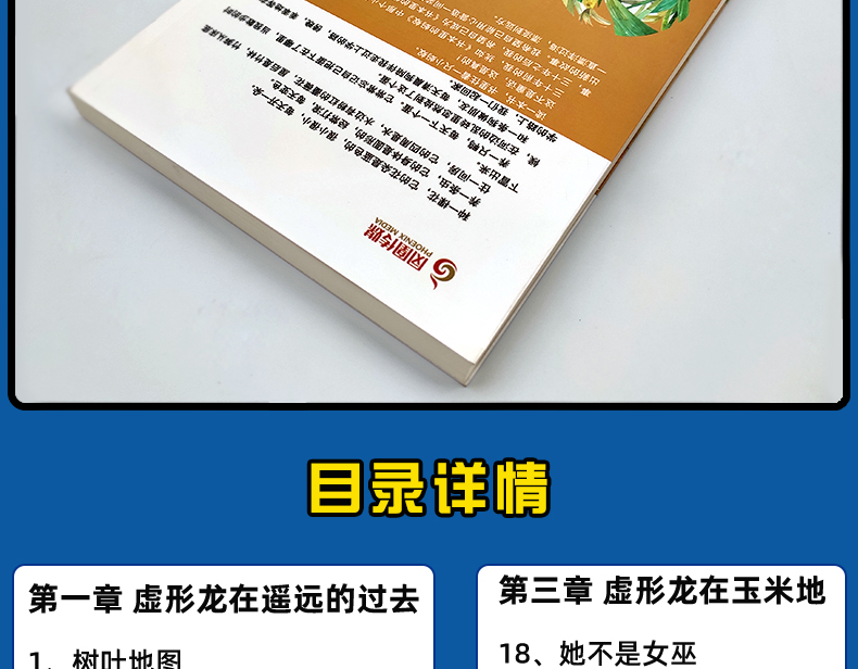 恐龙的宝藏正版书 漂流屋王一梅儿童文学精品系列三四五六年级小学生课外读物9-12-15岁青少年中篇童话故事畅销书籍