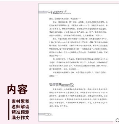 中考满分作文2册中考满分作文大全新版2019 中学生初中版备考 语文素材记叙文指导方法大全书籍
