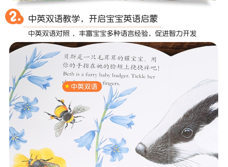 乐乐趣 亮丽精美触摸书系列 小兔比利 中英双语早教启蒙认知纸板书0-1-2-3岁感官刺激撕不烂绘本