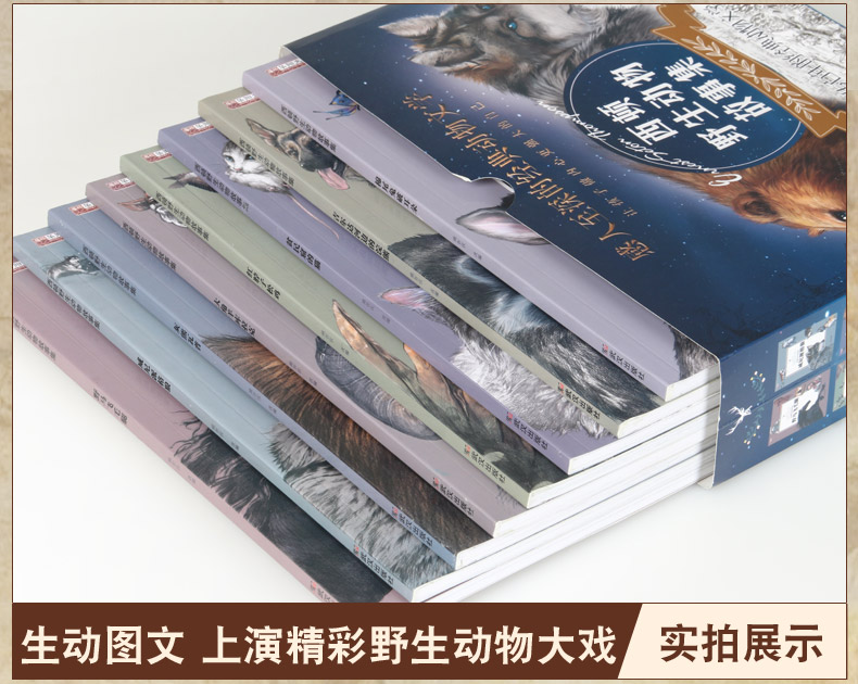 西顿野生动物故事集全8册 儿童动物科普故事书小学生课外阅读 8-15岁儿童文学励志小说系列