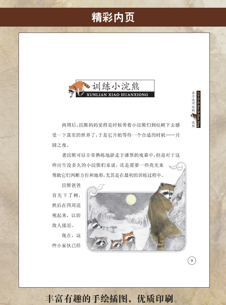 西顿野生动物故事集全8册 儿童动物科普故事书小学生课外阅读 8-15岁儿童文学励志小说系列
