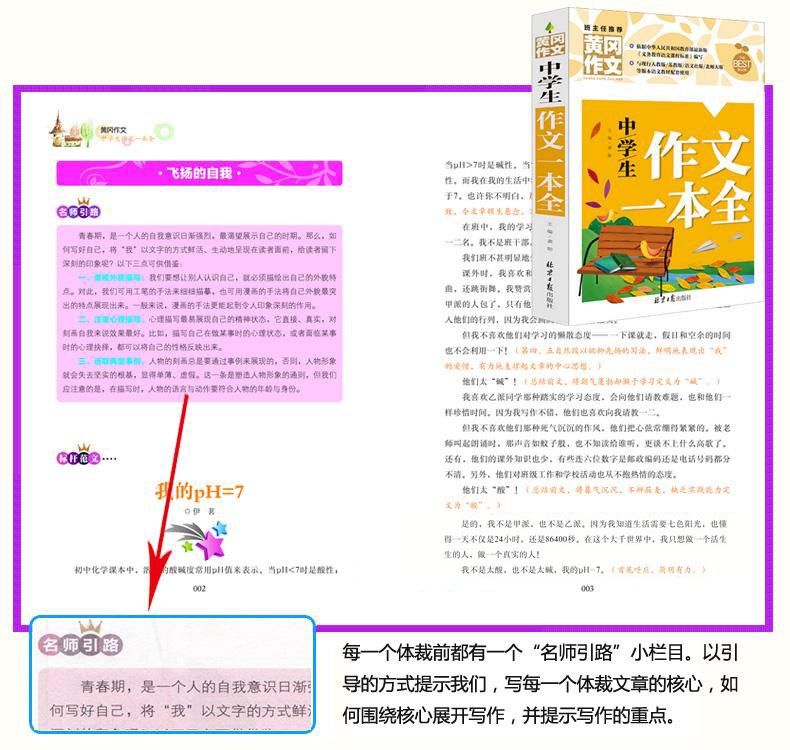 中学生黄冈作文书全4册 初中生作文大全十年满分作文大全优秀作文 作文辅导用书资料课外阅读书籍