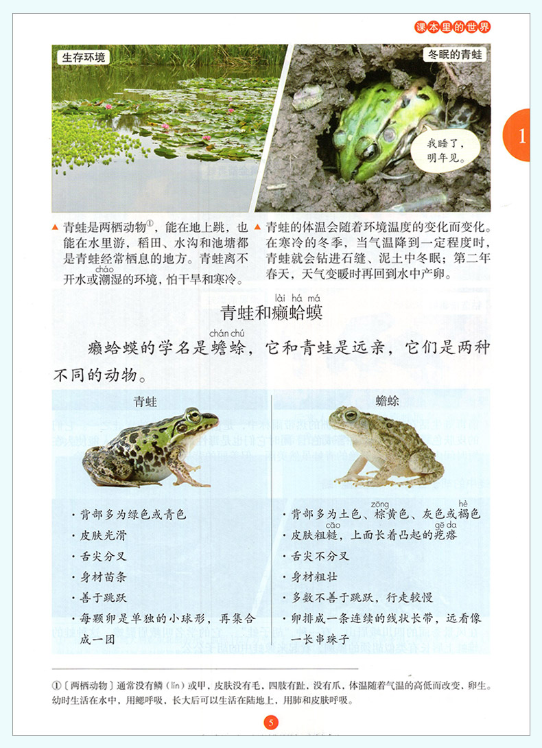 2020新版年级阅读二年级上册小学生绘本课堂阅读理解专项训练书2上语文人教部编版RJ同步辅导资料教辅书课外拓展阅读训练日有所诵