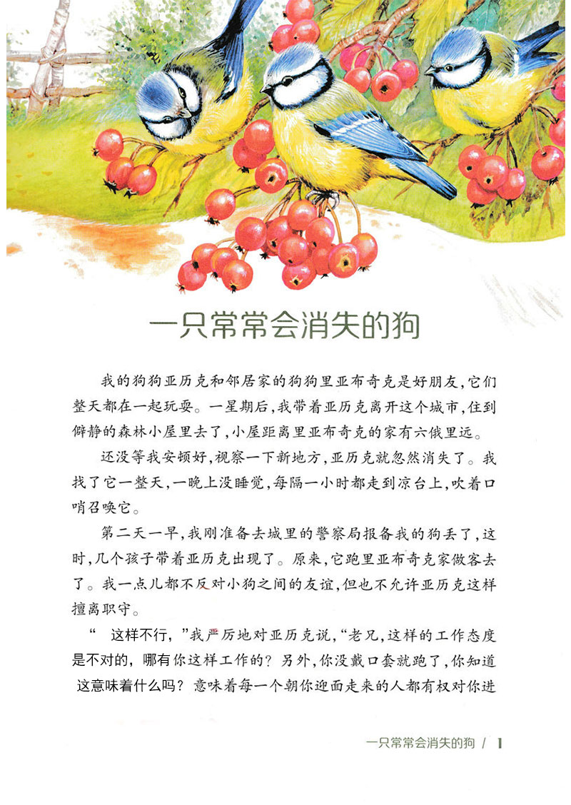 2020年暑假读一本好书月光下的刺猬大自然里的故事美绘本一二三四年级