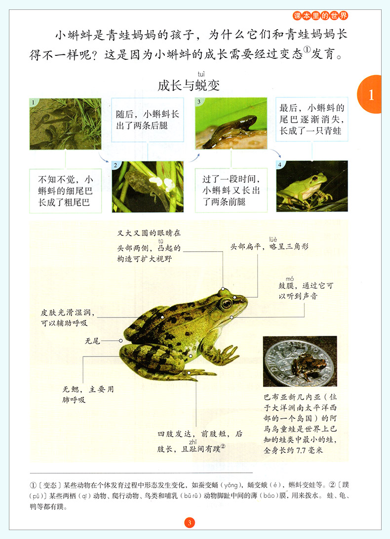 2020新版年级阅读二年级上册小学生绘本课堂阅读理解专项训练书2上语文人教部编版RJ同步辅导资料教辅书课外拓展阅读训练日有所诵
