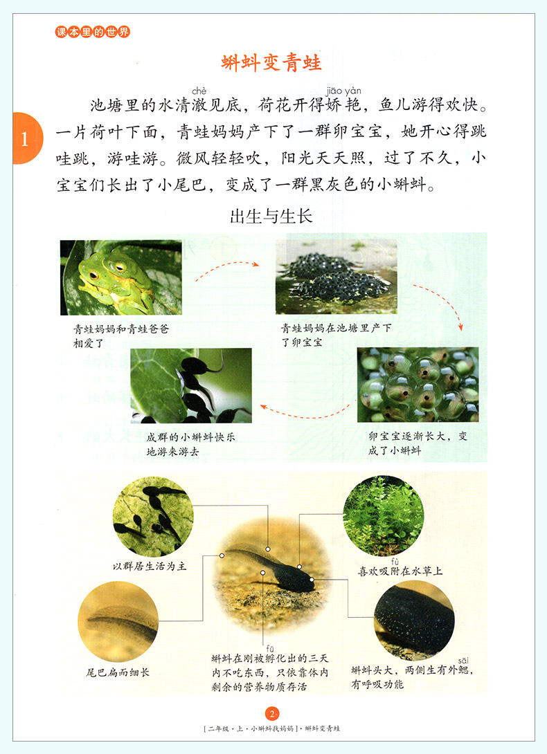 2020新版年级阅读二年级上册小学生绘本课堂阅读理解专项训练书2上语文人教部编版RJ同步辅导资料教辅书课外拓展阅读训练日有所诵