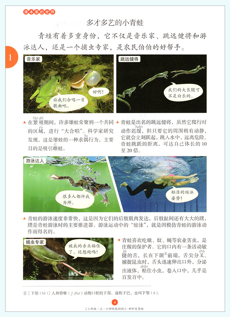2020新版年级阅读二年级上册小学生绘本课堂阅读理解专项训练书2上语文人教部编版RJ同步辅导资料教辅书课外拓展阅读训练日有所诵