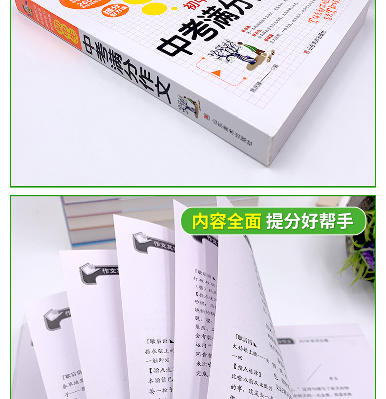【全4册】作文其实并不难--初中生作文大全中考满分作文 作文大全  作文辞海作文