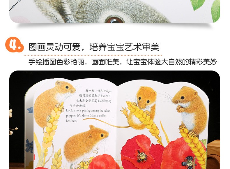 乐乐趣 亮丽精美触摸书系列 小兔比利 中英双语早教启蒙认知纸板书0-1-2-3岁感官刺激撕不烂绘本