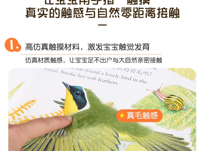 乐乐趣 亮丽精美触摸书系列 小兔比利 中英双语早教启蒙认知纸板书0-1-2-3岁感官刺激撕不烂绘本
