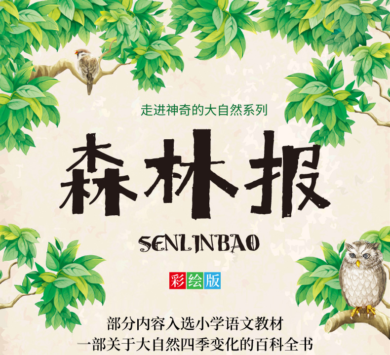 全4册 森林报春夏秋冬三四五六年级必读经典书目青少年儿童文学读物故事书小学生课外阅读书籍