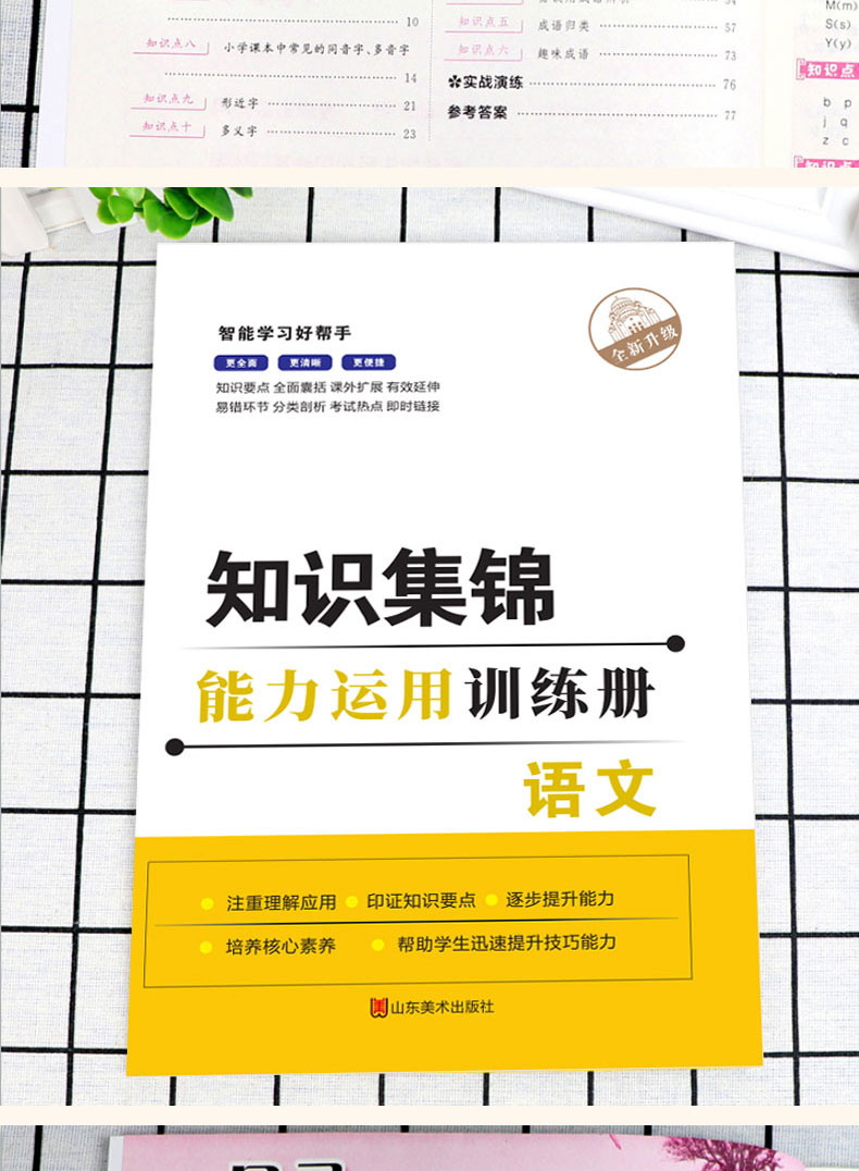 小学数学语文英语知识大全 集锦 2019人教北师苏教升级版1-6年级一二三四五六年级练习册辅导资料包工具书 小升初知识大集结 全9册