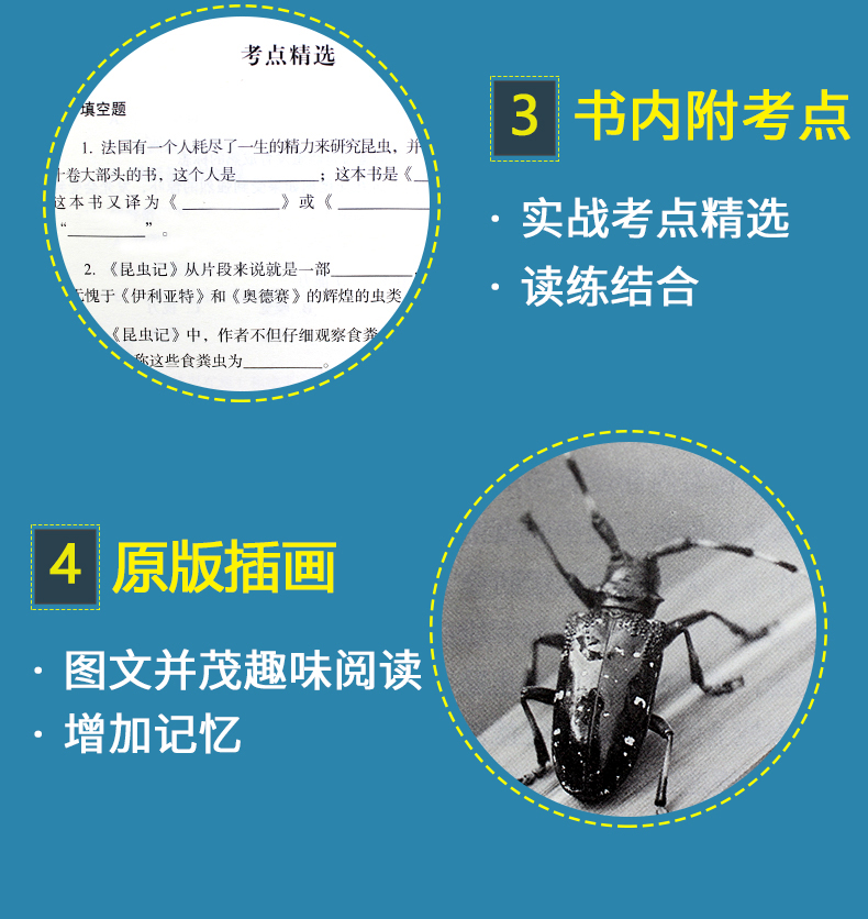 八年级指定课外阅读名著书籍4册 红星照耀中国昆虫记法布尔正版原著完整版 八年级必读 初中生必读经典书目初二上册下册语文全套C