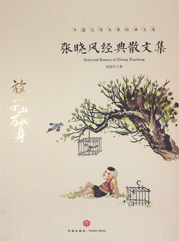 正版 张晓风经典散文集 名家散文经典 中国现当代随笔文学作品集 初高中学生课外书 人生正能量经典之作畅销书