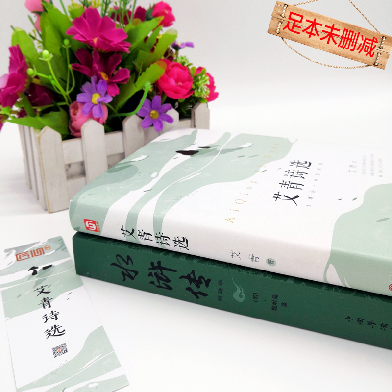 正版 艾青诗选+水浒传初中版9九年级 新版青少年完整版诗集 初中语文 配套阅读名著书籍可搭水浒传全集