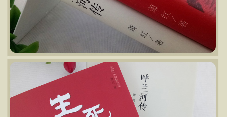 正版2册 萧红作品集 生死场+呼兰河传 中国近代作品集 萧红作品全集小说 初中生必读课外名著 书籍 当代文学小说