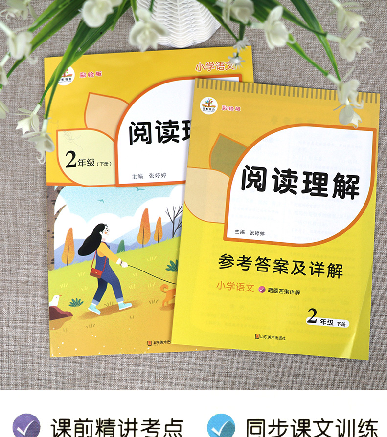 2020新版 阅读理解二年级下册语文彩绘人教 小学生二年级下册阅读理解训练书 小学课堂拼音同步看图说话写话专项训练题