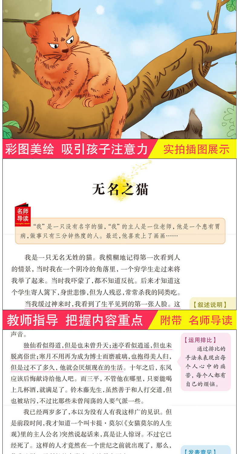 正版我是猫 夏目漱石三到四五六年级班主任推荐小学3年纪4-6年级必读的课外书适合8-10-11-12-13-15岁女孩读2018暑假 指定