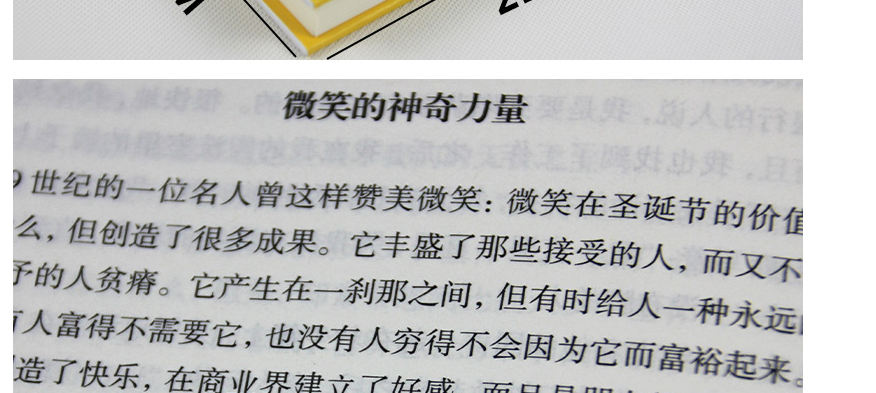 正能量 弘丰编著 幸福掌握在自己手里 而有关情绪 信念的秘密就藏在书里 排除负面情绪 坚持正能量