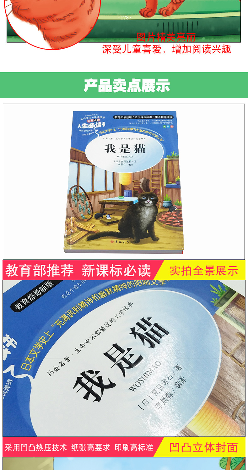 正版我是猫 夏目漱石三到四五六年级班主任推荐小学3年纪4-6年级必读的课外书适合8-10-11-12-13-15岁女孩读2018暑假 指定