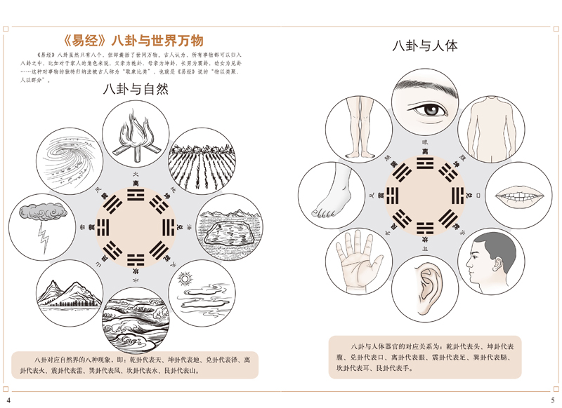 正版包邮  图解周易大全 中国哲学代表作 易经起源 图解易经周易 人人都读的懂的实用书 易经入门精通指导 宗教中国哲学